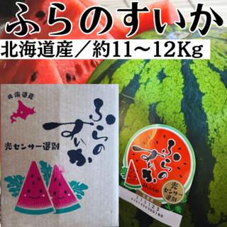北海道 スイカ 富良野すいか 大玉 11〜12kg JAふらの 光センサー選別 (フルーツ)