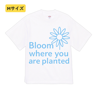n788【新品未使用】プリント Tシャツ ひまわり スタリッシュ レディース(Tシャツ(半袖/袖なし))