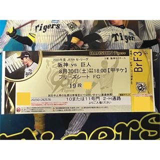8月30日(土)【3塁側内野席中段】阪神vs巨人 ブリーズシート 【8/30】(野球)