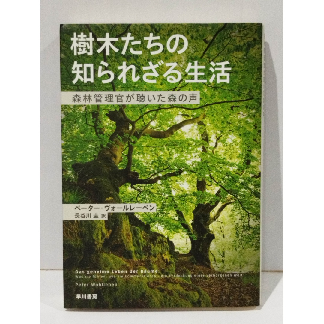 樹木たちの知られざる生活 森林管理官が聴いた森の声　ペーター・ヴォールレーベン 長谷川圭　(250819mt) エンタメ/ホビーの本(人文/社会)の商品写真