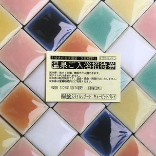 ゆきだるま温泉 ご入浴無料券1枚(その他)