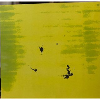 【廃盤2LP】Benjamin Brunn / A Sun Life