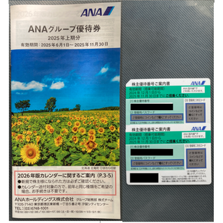 ＊ ANA株主優待券 2枚 ＋ ANAグループ優待券（送料込み）(その他)