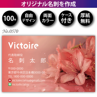 名刺作成 名刺印刷 100枚 両面 フルカラー 紙ケース付 No.0570