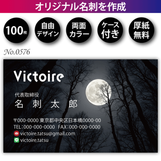 名刺作成 名刺印刷 100枚 両面 フルカラー 紙ケース付 No.0576