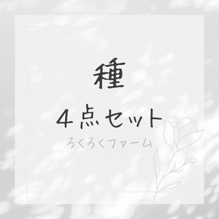 【種】おまとめ４点セット　おまとめ割(野菜)