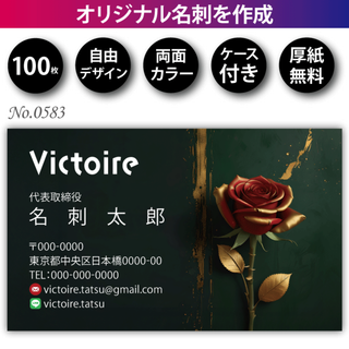 名刺作成 名刺印刷 100枚 両面 フルカラー 紙ケース付 No.0583