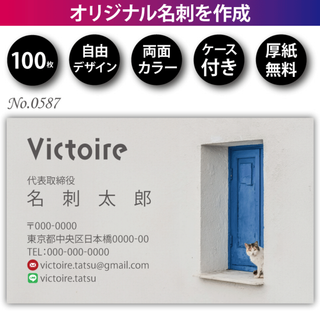 名刺作成 名刺印刷 100枚 両面 フルカラー 紙ケース付 No.0587