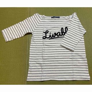 《未使用品》THE EMPORIUM ボーダー Tシャツ M 5分袖
