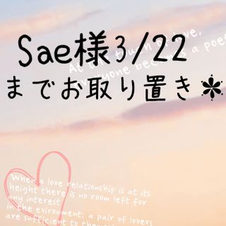 Sae様3/22までお取り置き＊(その他)