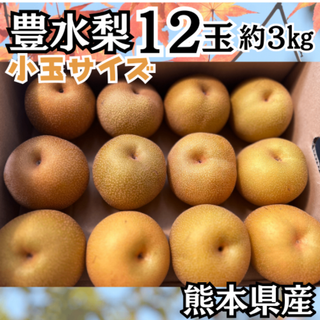熊本県産 梨 豊水 箱込み 約３kg 12玉 秀品 Sサイズ 小玉市場直送 贈答(フルーツ)