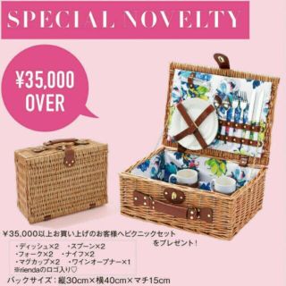 リエンダ(rienda)の本日限定！大幅お値下げ リエンダ♡送料込みピクニックset(その他)