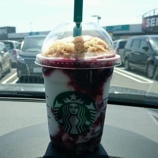 スターバックスコーヒー(Starbucks Coffee)のya＊様専用(その他)