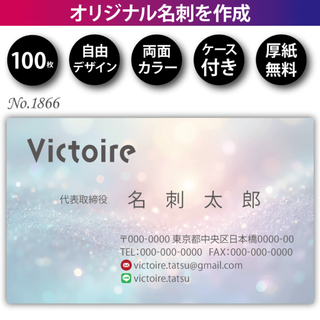 名刺作成 名刺印刷 100枚 両面 フルカラー 紙ケース付 No.1866