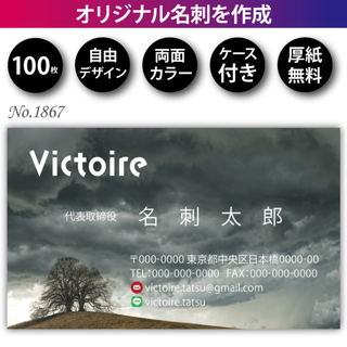 名刺作成 名刺印刷 100枚 両面 フルカラー 紙ケース付 No.1867(カード/レター/ラッピング)