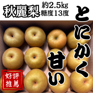 甘い！熊本県産 秋麗梨 秀品 S 12玉 約2.5kg 玉東 糖度13度以上(フルーツ)