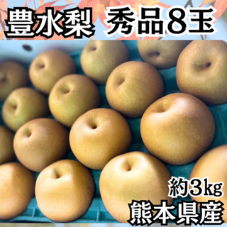 熊本県産 梨 豊水 箱込み 約３kg ８玉 秀品  市場厳選 市場直送 贈答 (フルーツ)