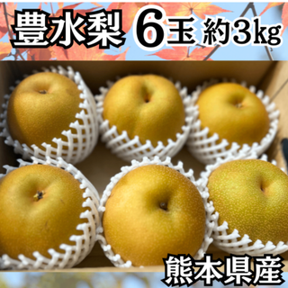 豊水 熊本県産 梨 箱込み 約3kg 6玉 秀品市場直送 贈答家庭用 常温発送(フルーツ)
