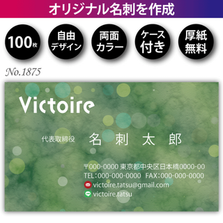 名刺作成 名刺印刷 100枚 両面 フルカラー 紙ケース付 No.1875