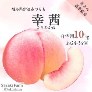 【リピ割】（＾ν＾）‼️様専用 自宅用【幸茜10kg 約24-36個】(フルーツ)