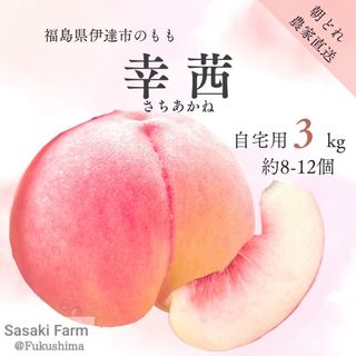 【リピ割】yoshigo様専用 自宅用 【幸茜 3kg 約8-12個】(フルーツ)