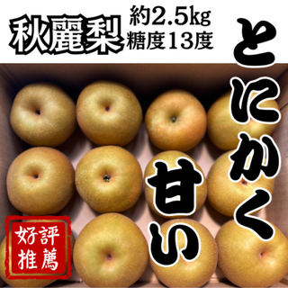 甘い！熊本県産 秋麗梨 秀品 S 12玉 約2.5kg 玉東 糖度13度以上(フルーツ)