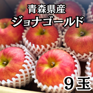 残りわずか！りんご 果物 ジョナゴールド 厳選９玉 青森県産  常温発送 リンゴ(フルーツ)