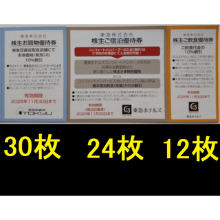 東急百貨店 株主優待券 30枚ほか 2025年11月期限 -a(ショッピング)