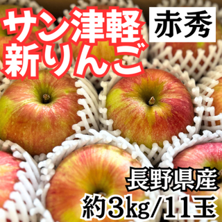長野県産 サンつがる リンゴ 赤秀 3kg 11玉 新りんご 甘い ジューシー(フルーツ)