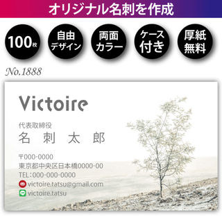 名刺作成 名刺印刷 100枚 両面 フルカラー 紙ケース付 No.1888