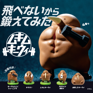 全5種 ムキムキーウィ コンプリートセット 本体のみ ガチャ カプセルトイ(その他)