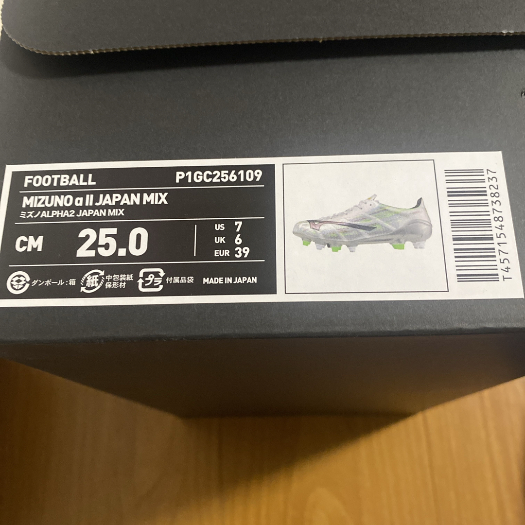 OGASAKA オガサカ【GORE-TEX MITT GLOVE】Lサイズ ゴア