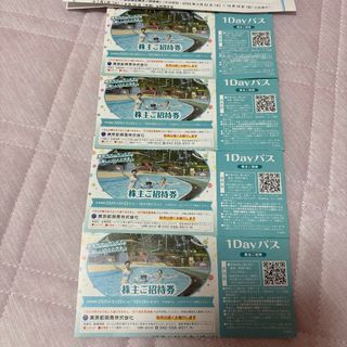 東京サマーランドチケット　4枚(遊園地/テーマパーク)