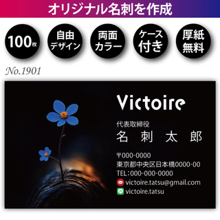 名刺作成 名刺印刷 100枚 両面 フルカラー 紙ケース付 No.1901