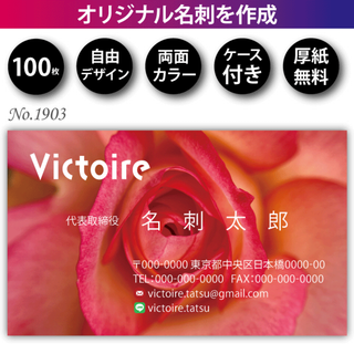 名刺作成 名刺印刷 100枚 両面 フルカラー 紙ケース付 No.1903(カード/レター/ラッピング)
