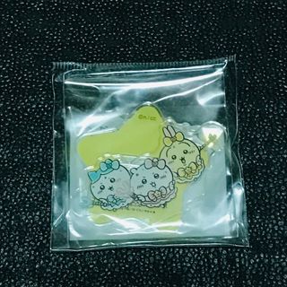 うさぎ　ハチワレ　なんとかなれーッ