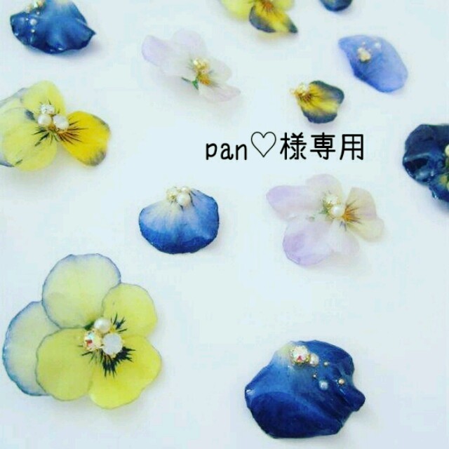 pan♡様専用  ハンドメイドのアクセサリー(イヤリング)の商品写真