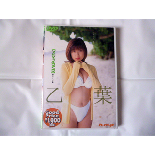乙葉スペシャルDVD　生写真付き