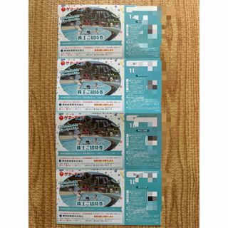 サマーランド　株主優待　今週末(9/13～15)も利用可能(遊園地/テーマパーク)