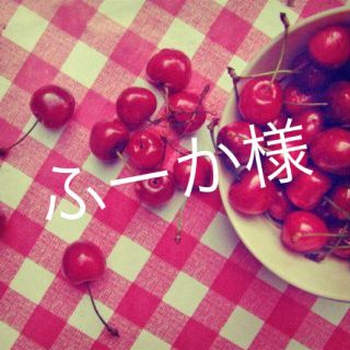 ふーか様専用(オーダーメイド)