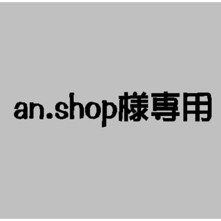 an.shop様専用(その他)