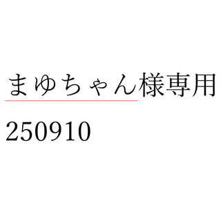 まゆちゃん様専用 250910(その他)