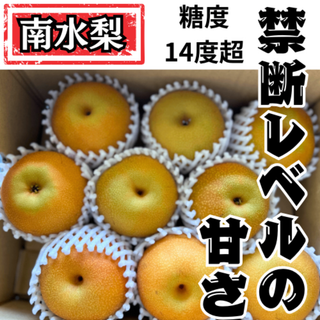 熊本県産 南水梨 9玉 約2.5Kg 高級梨 糖度14度以上 甘い ジューシー(フルーツ)