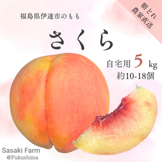 【リピ割】kimi様専用 自宅用【さくら 5kg 約10-18個】(フルーツ)