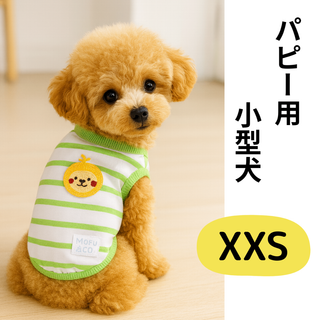 【24時間以内発送】犬 服 パピー 秋 チワワ トイプードル ボーダー グリーン(犬)