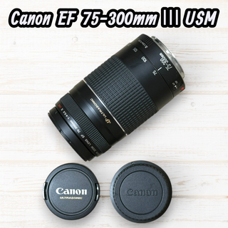 Canon 望遠レンズ EF 75-300mm F4-5.6 Ⅲ USM #78