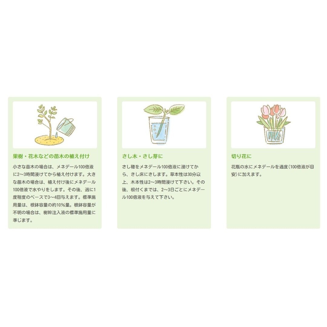 【特価商品】メネデール 植物活力剤 栄養剤 2L 植物を元気に育てる 花から野菜 その他のその他(その他)の商品写真