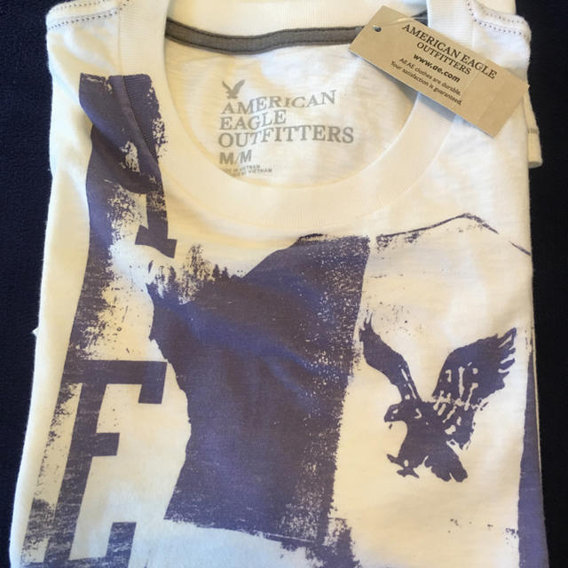 American Eagle(アメリカンイーグル)のアメリカン イーグル  M メンズのトップス(Tシャツ/カットソー(半袖/袖なし))の商品写真