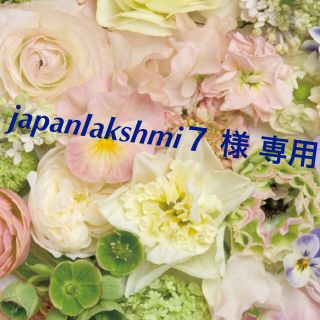 エリップス(ellips)のjapanlakshmi７ 様  専用(その他)