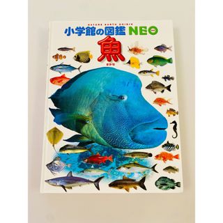 鱼书